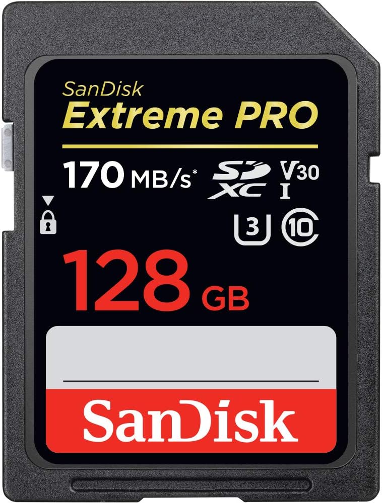 Sandisk 128GB SD Card